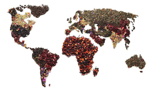 Darjeeling Influence on Global Tea Culture and Makaibari’s Role - Makaibari Tea