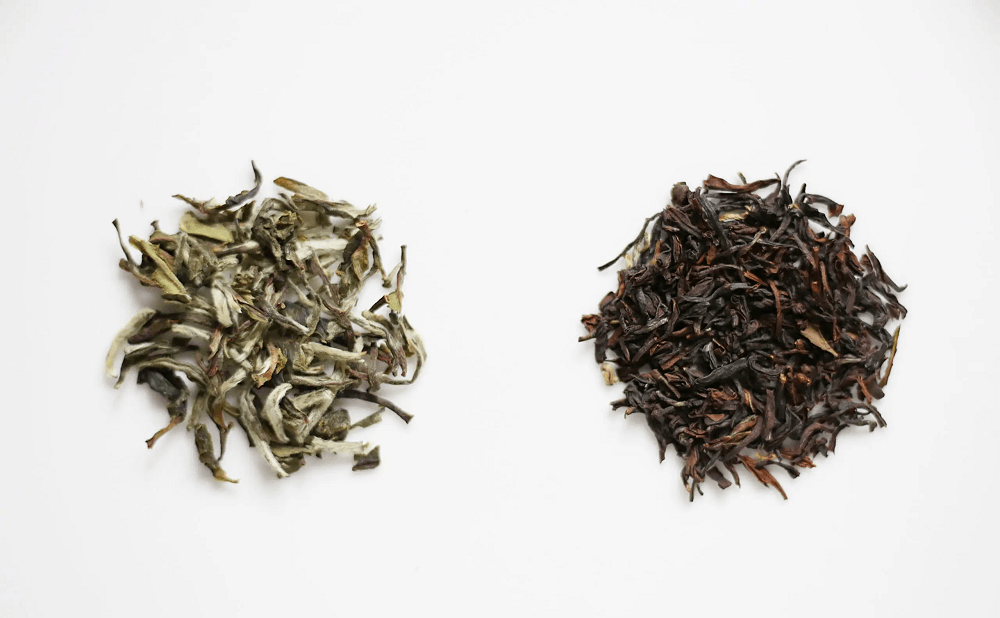 A Guide to First Flush & Second Flush Teas: Darjeeling’s Most Sought-After Teas - Makaibari Tea
