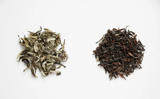 A Guide to First Flush & Second Flush Teas: Darjeeling’s Most Sought-After Teas - MAKAIBARI TEA
