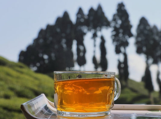 How Darjeeling Tea Became Iconic - MAKAIBARI TEA