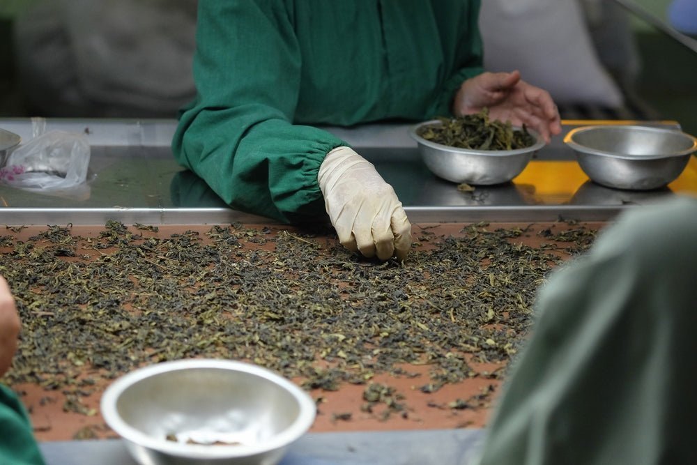 How to Identify Quality Tea Like a Pro – Makaibari Tea