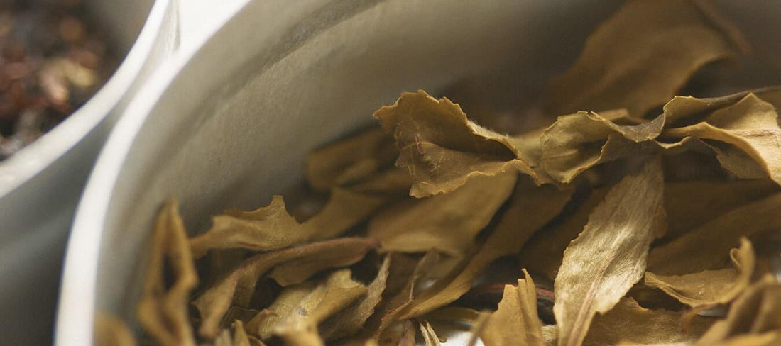 Why Darjeeling Organic Teas are 'Different and Unique'? - Makaibari Tea