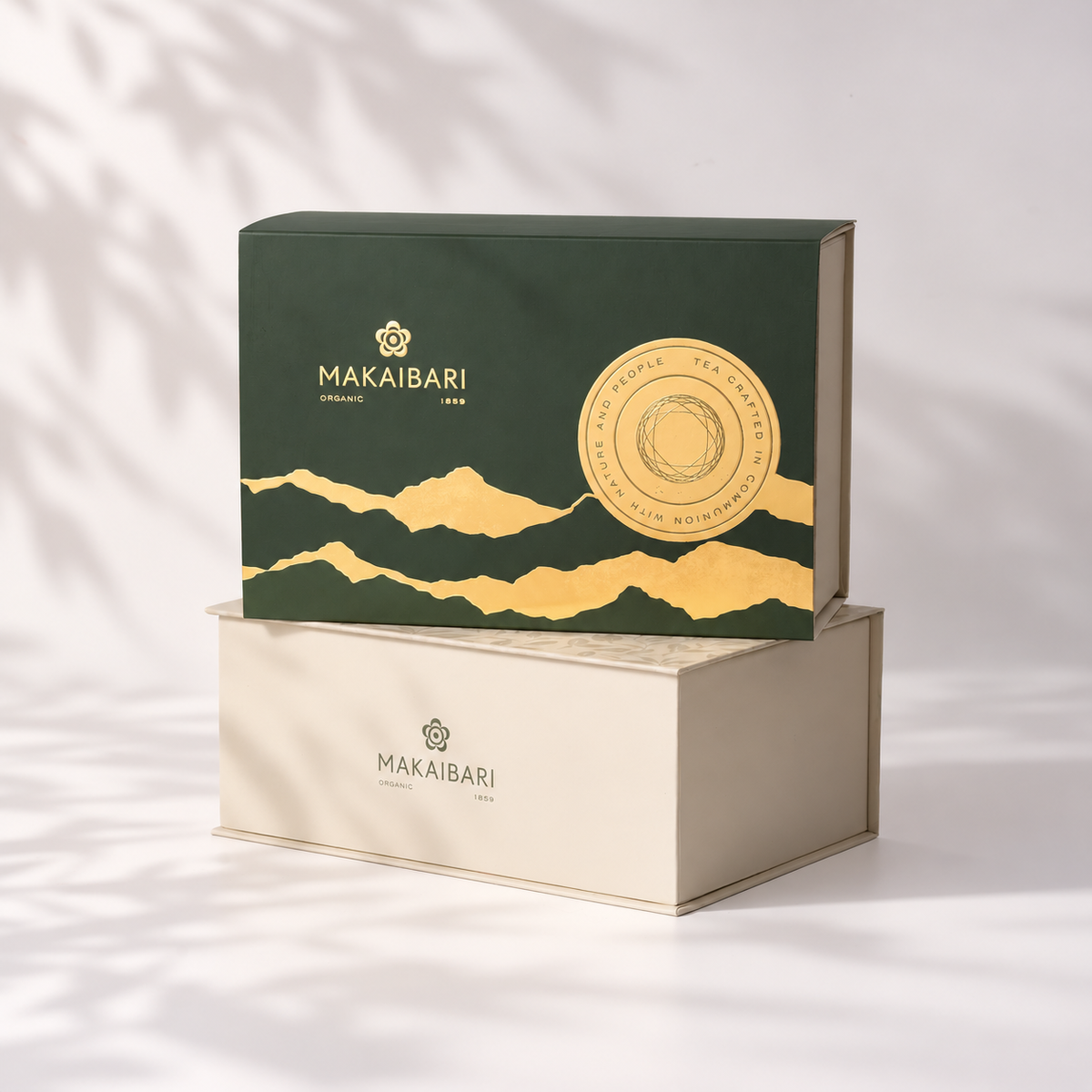 Darjeeling Tea Journey | Black, Oolong, Green