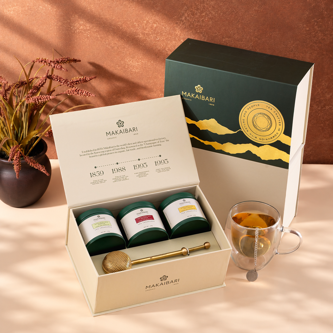 Darjeeling Tea Journey | Black, Oolong, Green