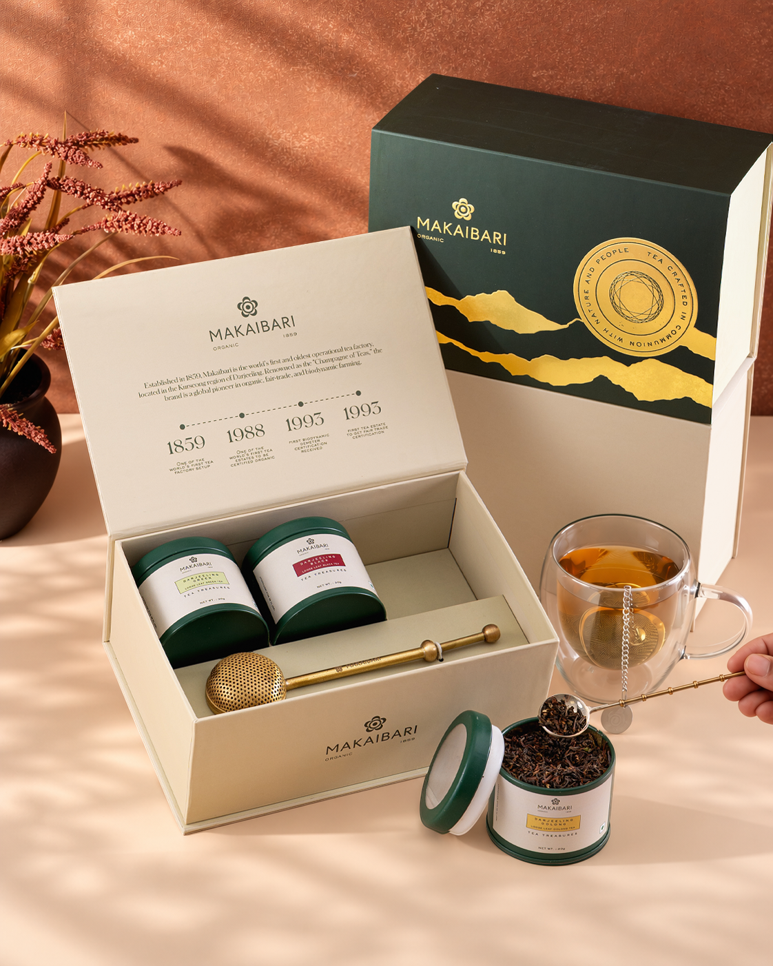 Darjeeling Tea Journey | Black, Oolong, Green