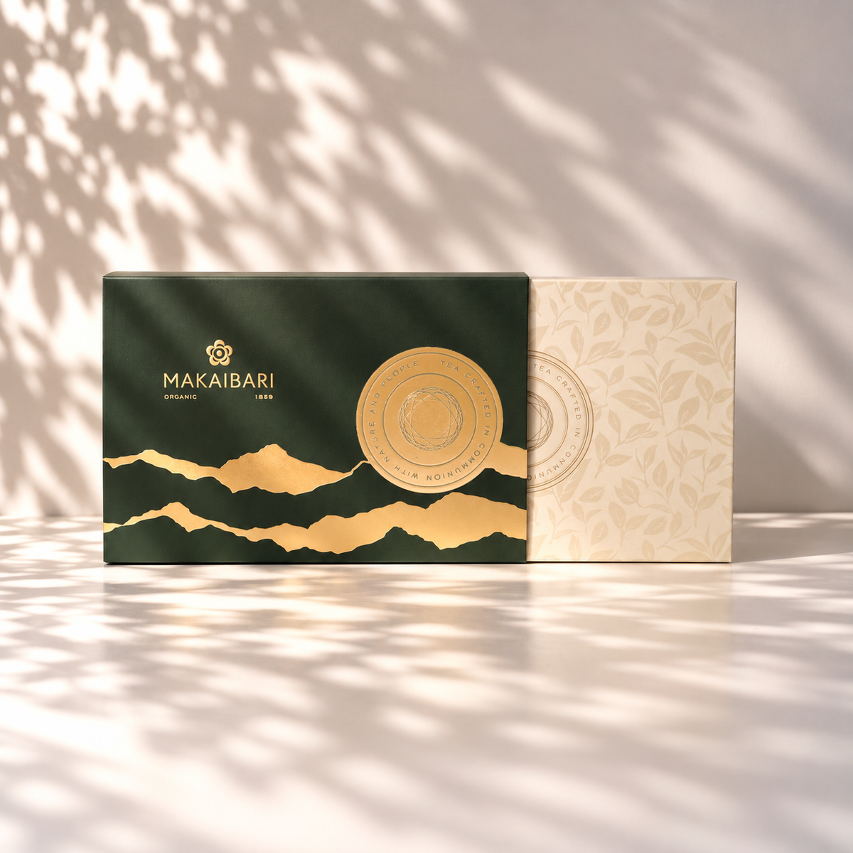 Darjeeling Tea Journey | Black, Oolong, Green