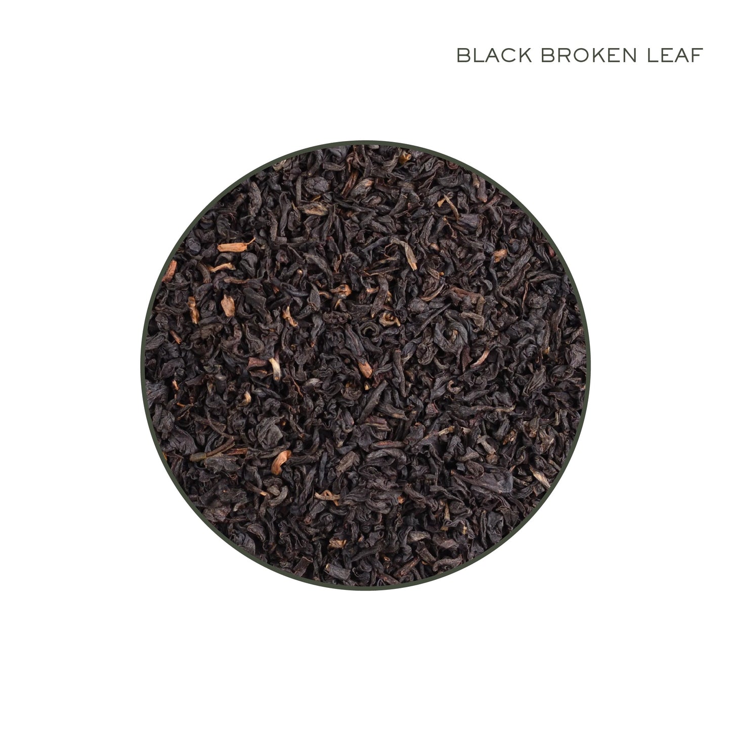 Garden Harvest: Loose Organic Darjeeling Black Brokens - MAKAIBARI TEA