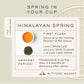 Himalayan Spring - FIRST FLUSH LOOSE LEAF TEA - Makaibari Tea