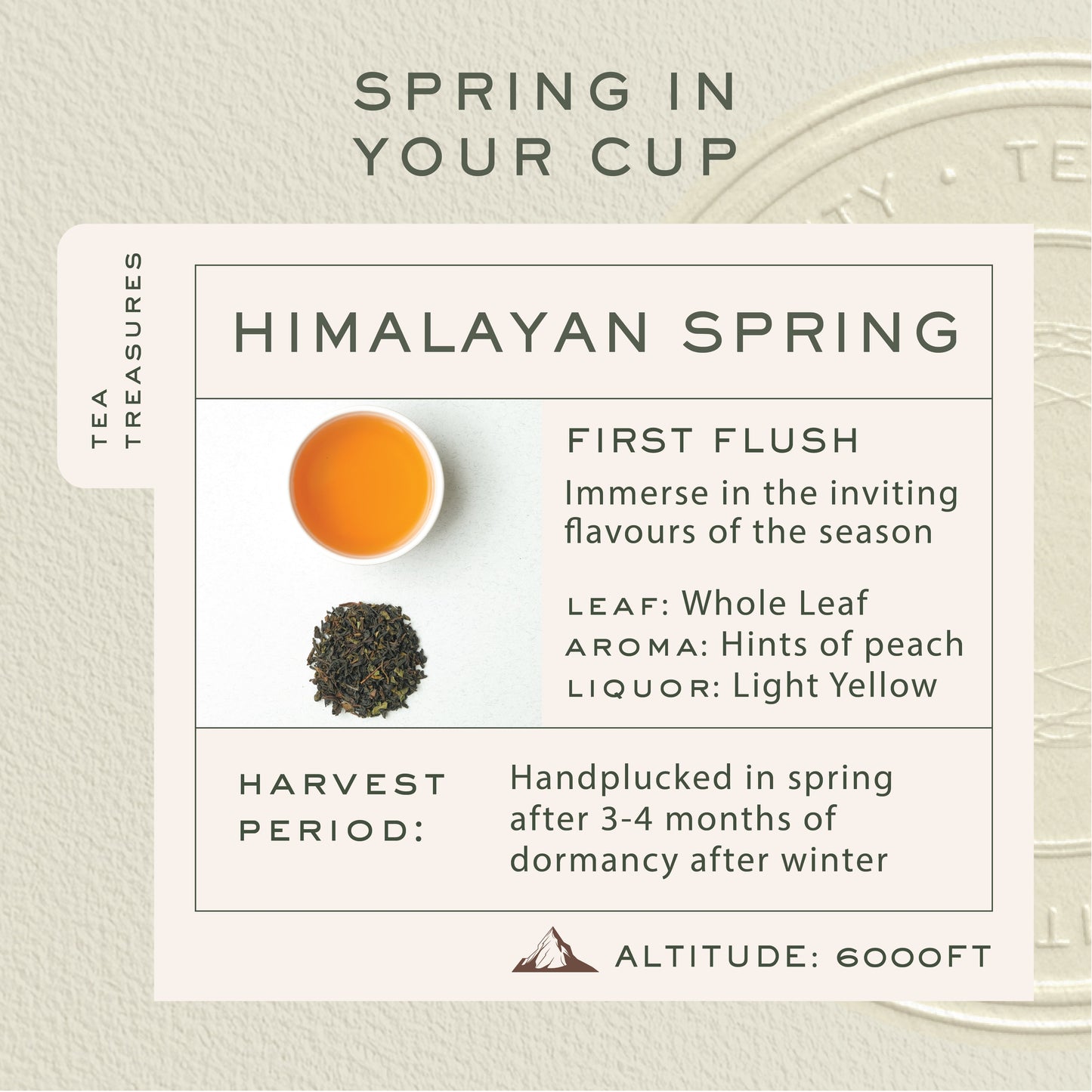 Himalayan Spring - FIRST FLUSH LOOSE LEAF TEA - Makaibari Tea