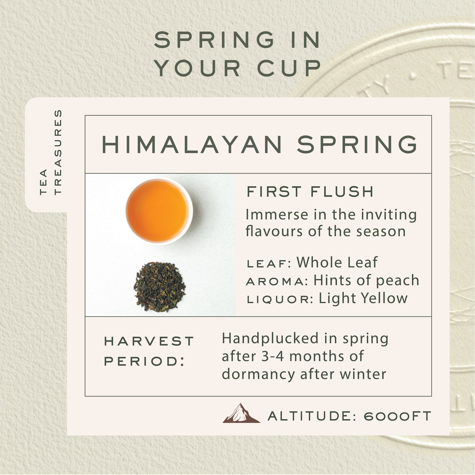 Himalayan Spring - FIRST FLUSH LOOSE LEAF TEA - Makaibari Tea