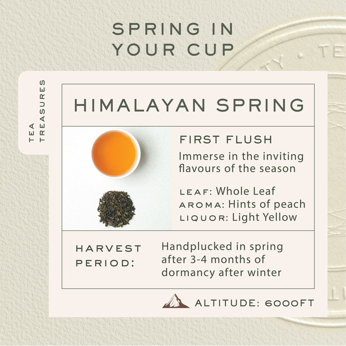 Shop Himalayan Spring First Flush Loose Black Tea – Makaibari Tea