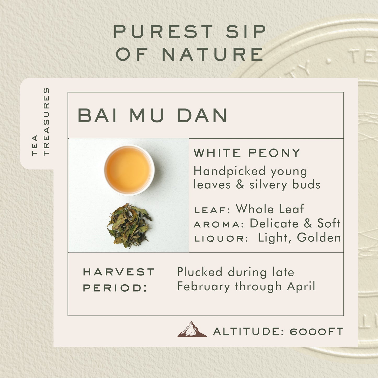 Makaibari Bai Mu Dan | 25 Tea Bags | Tea Treasure White Tea - Makaibari Tea