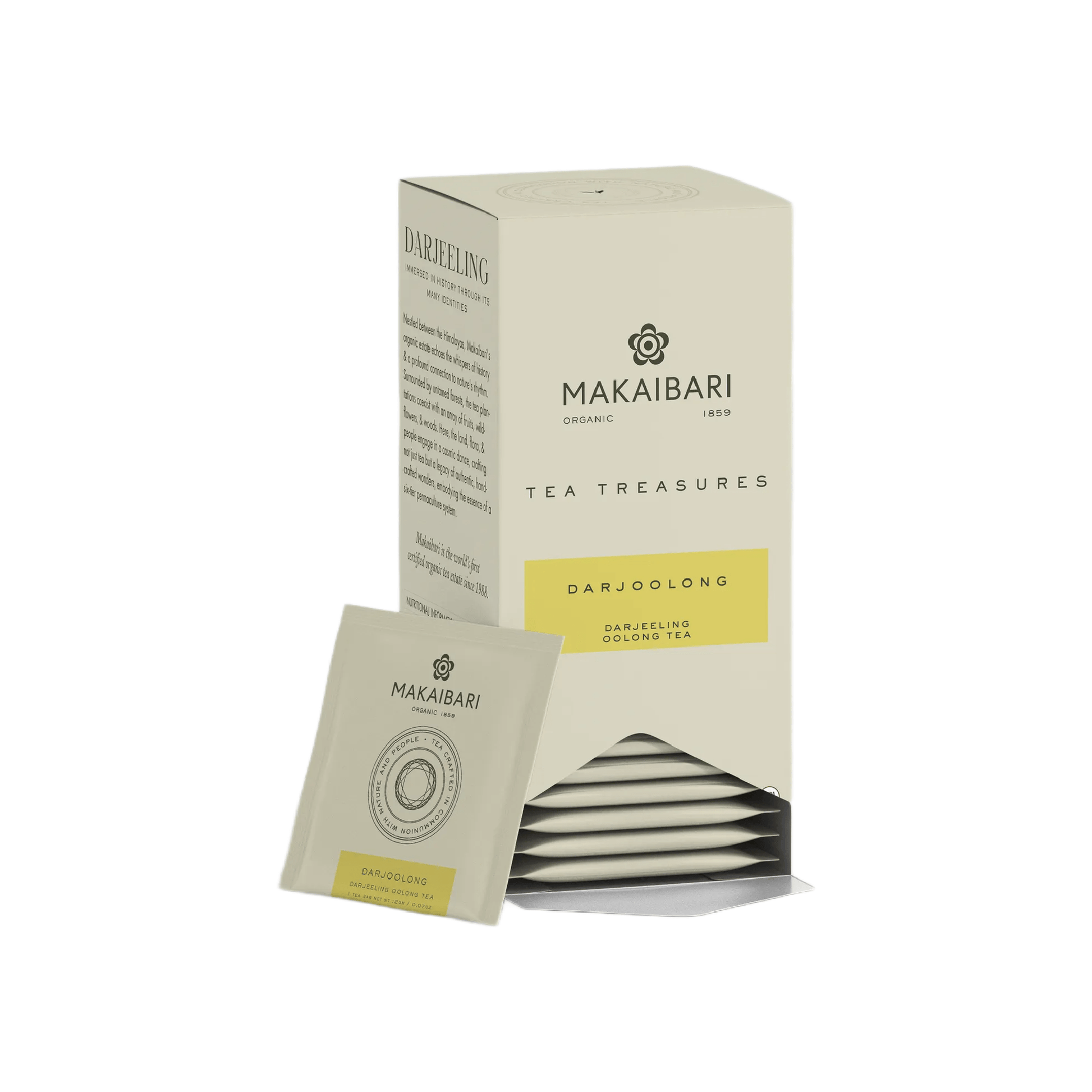 Makaibari Dajoolong Tea | 25 Tea Bags | Darjeeling Oolong Tea - MAKAIBARI TEA