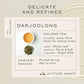 Makaibari Darjoolong Tea | 25 Tea Bags | Darjeeling Oolong Tea - Makaibari Tea