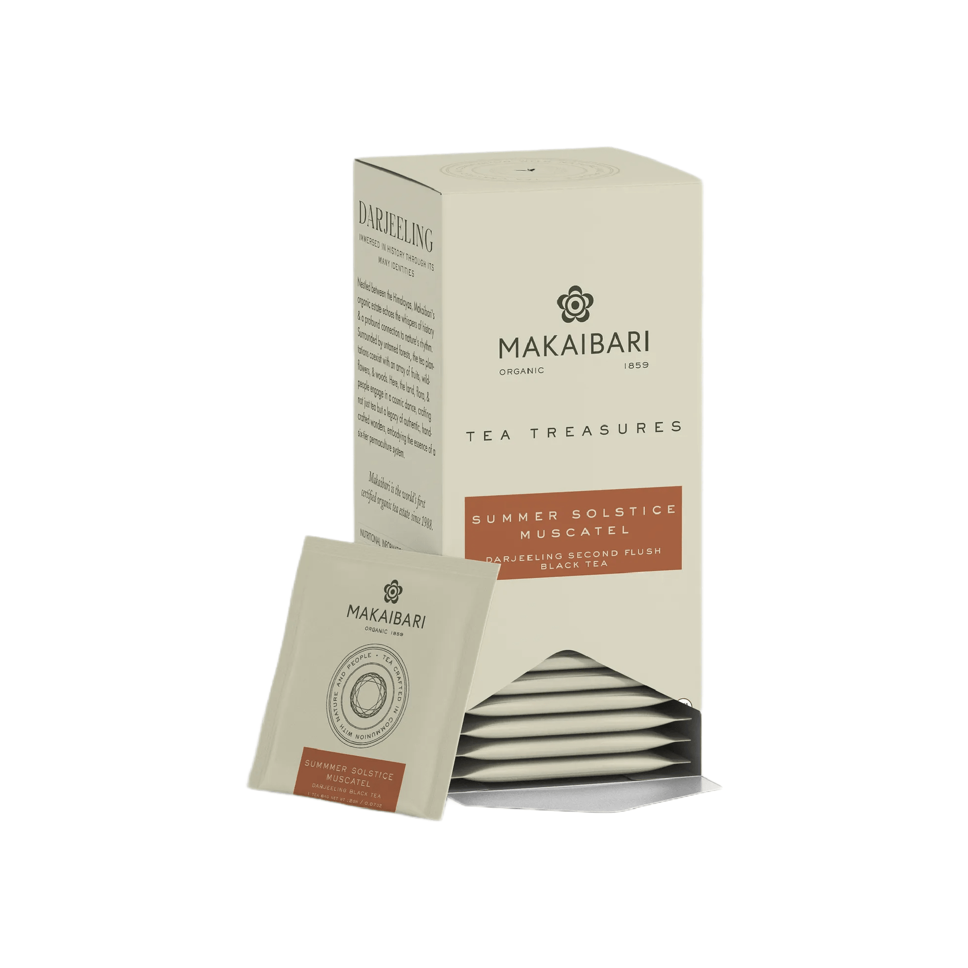 Makaibari Summer Solistace Muscatel | 25 Tea Bags | Second Flush Black Tea - MAKAIBARI TEA