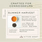 Makaibari Summer Solstice Muscatel | 25 Tea Bags | Second Flush Black Tea - Makaibari Tea