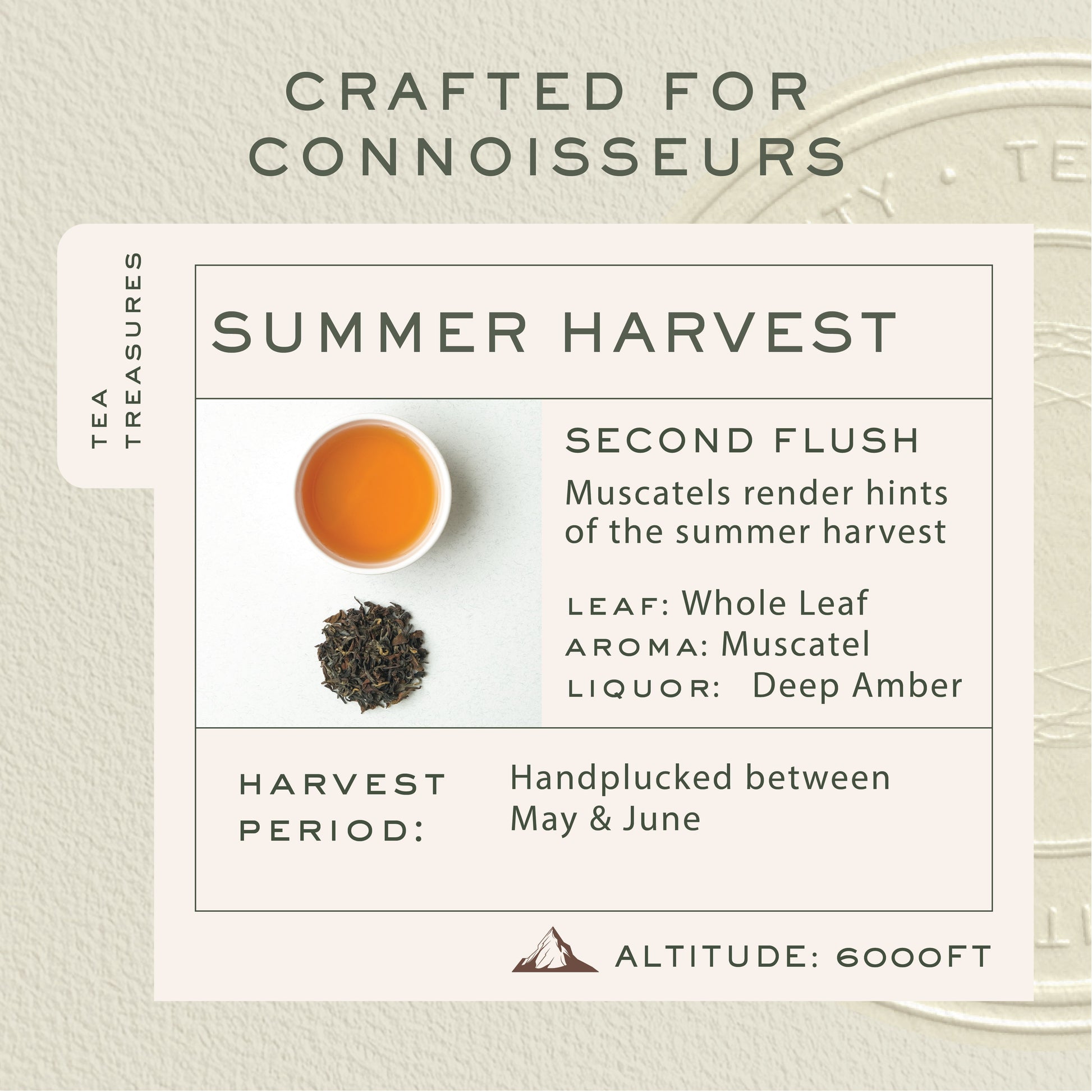 Makaibari Summer Solstice Muscatel | 25 Tea Bags | Second Flush Black Tea - Makaibari Tea