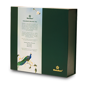 Limited Edition Specialty Gift Pack in 4 Assorted Flavours  (Hard Pack - Japanese Fuso Biodegradable Tea Bags)