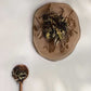 Silver Tips Imperial 50g Loose Leaf Tea - MAKAIBARI TEA